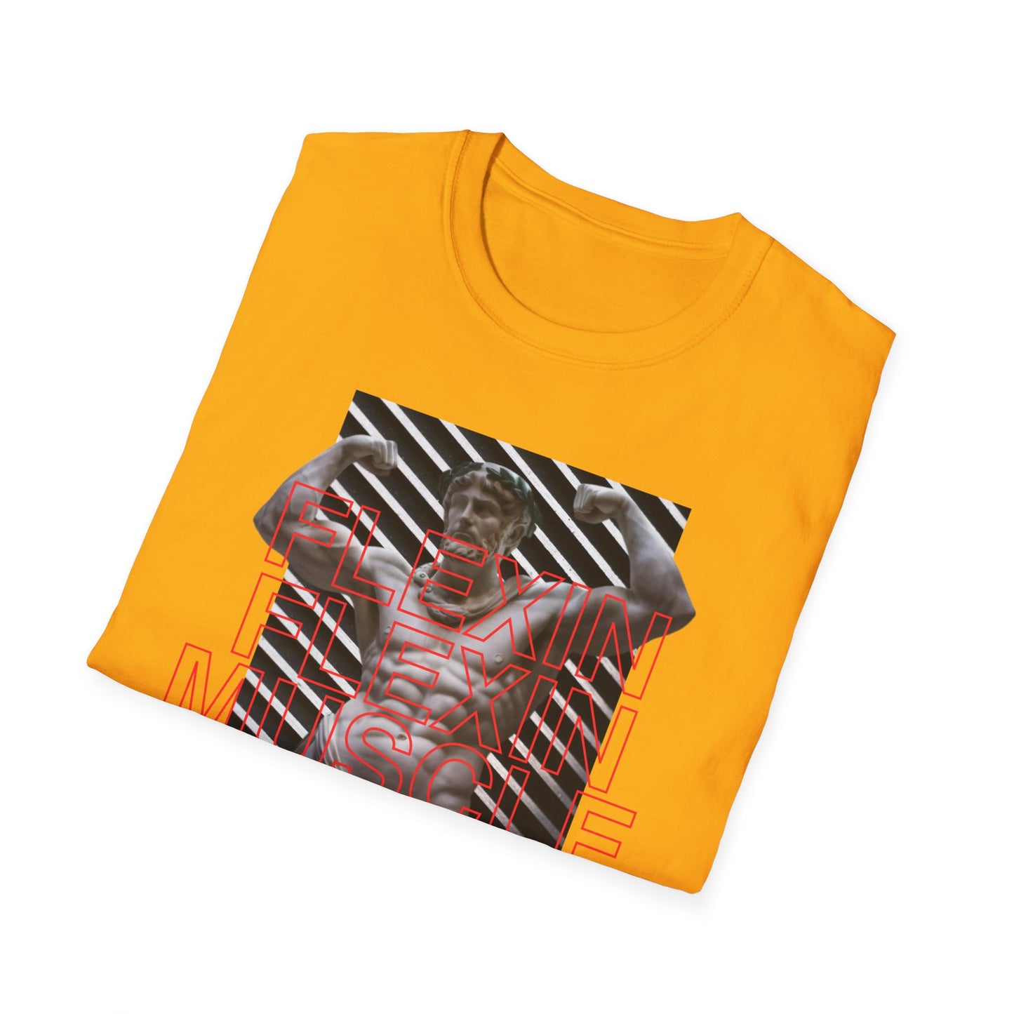 Flexing Gym Wear T-Shirt