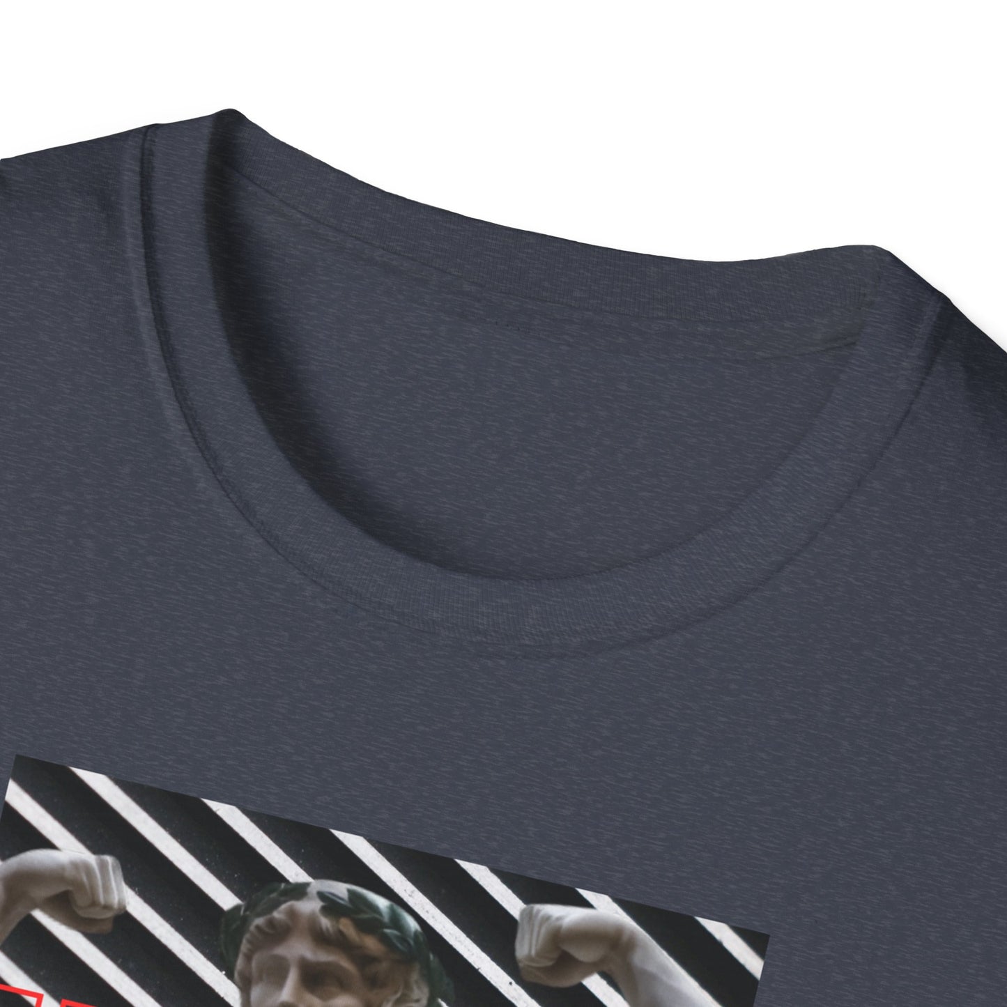 Flexing Gym Wear T-Shirt