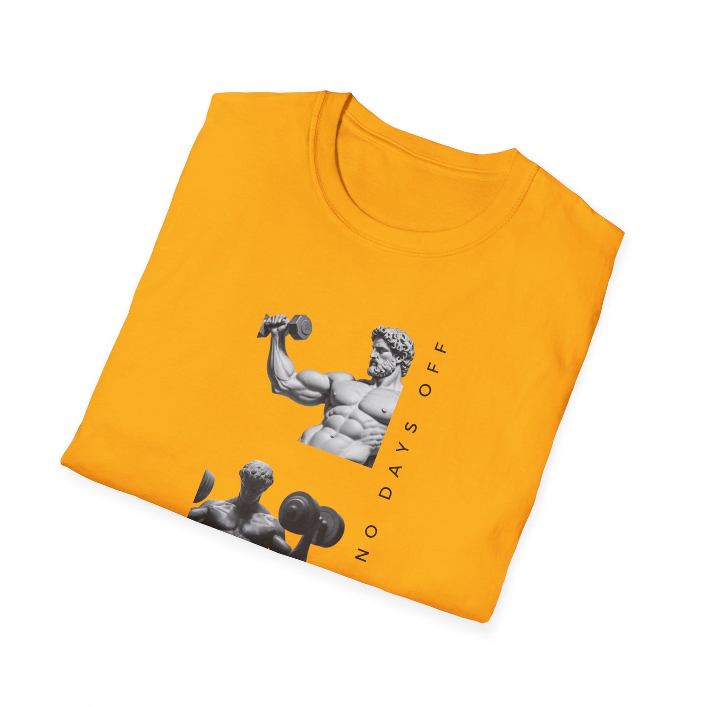 Work Out No Days Off Gym T-shirt
