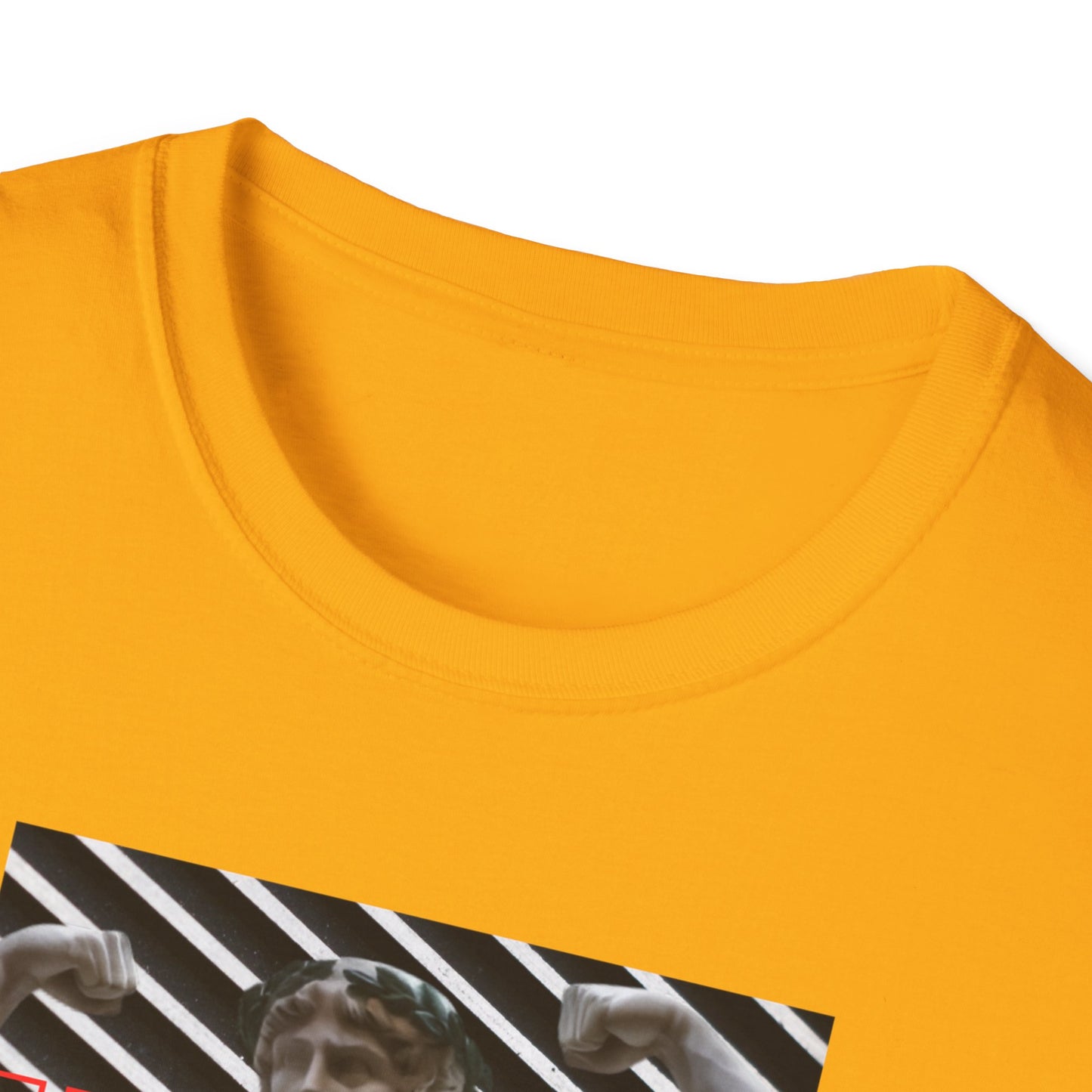 Flexing Gym Wear T-Shirt