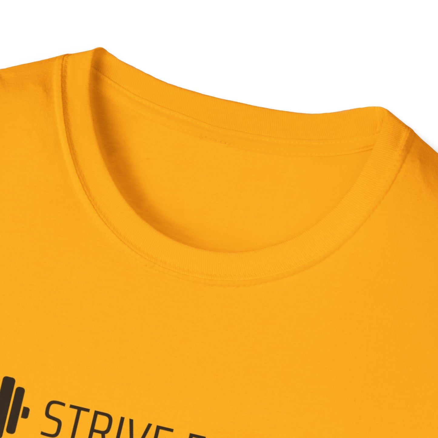 Strive For Progress Gym T-shirt