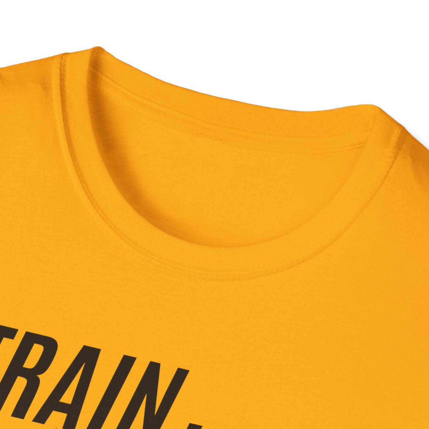 Train Hard Dream Big Gym T-shirt