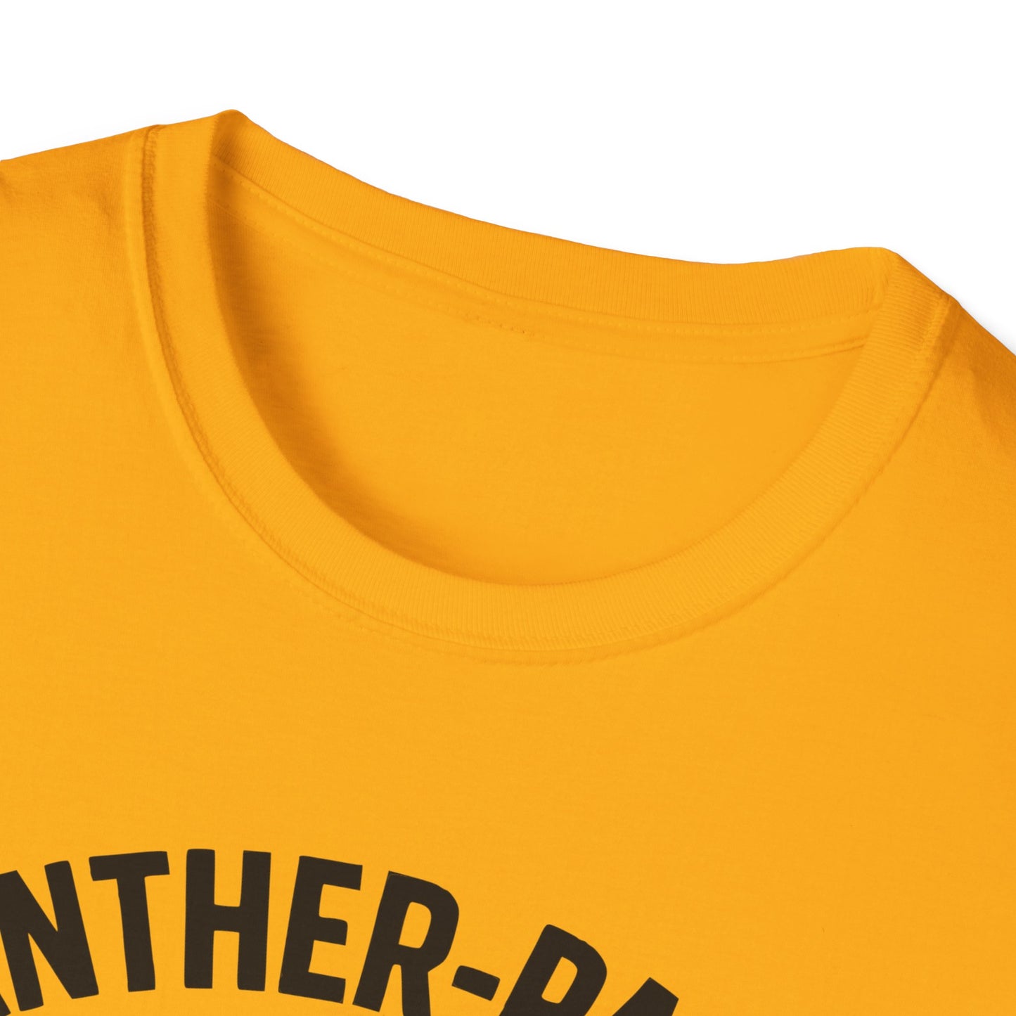 HIIT Panther Paced 20min Burn Unisex T-Shirt - Corporate Fitness Apparel