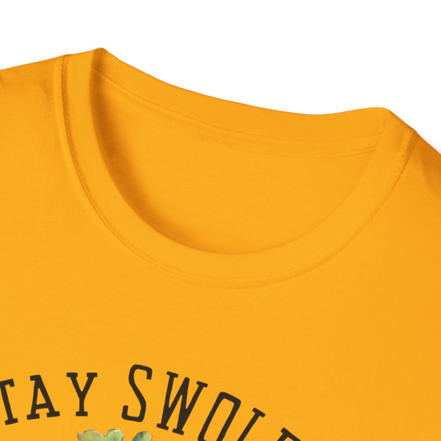 Stay Swole Be Strong Gym T-Shirt