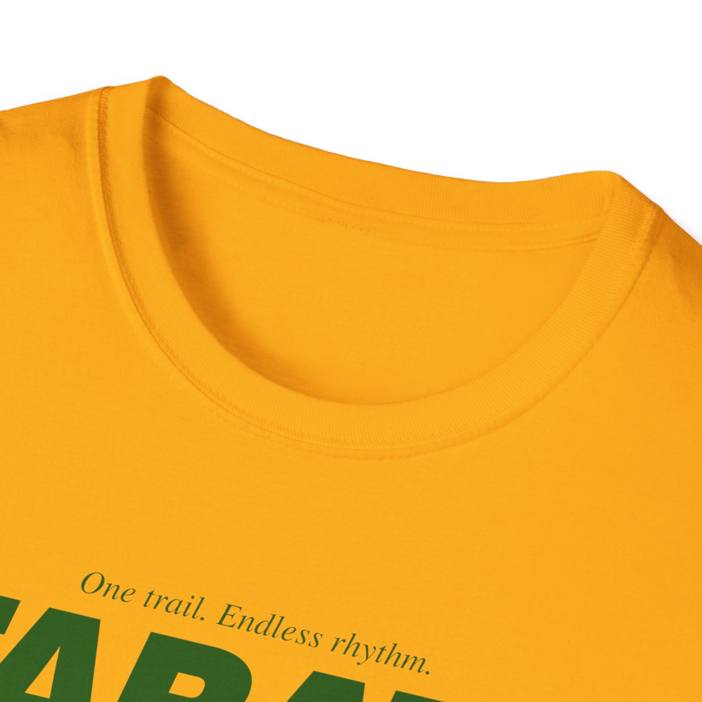 HIIT Tabata 20/10 Tenacity - Corporate Fitness T-Shirt