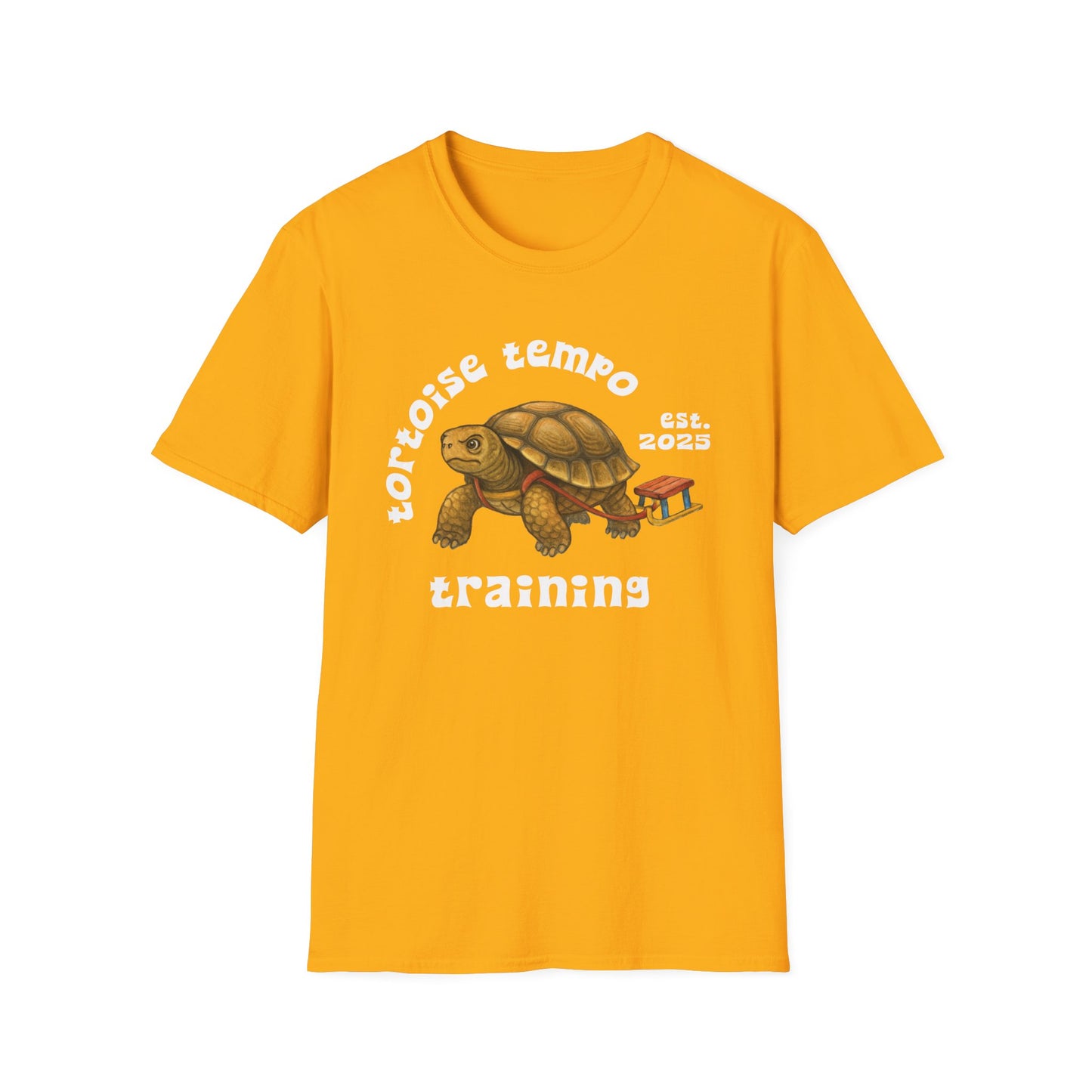 Senior's Mobility T-Shirt - Tortoise-Tempo Training