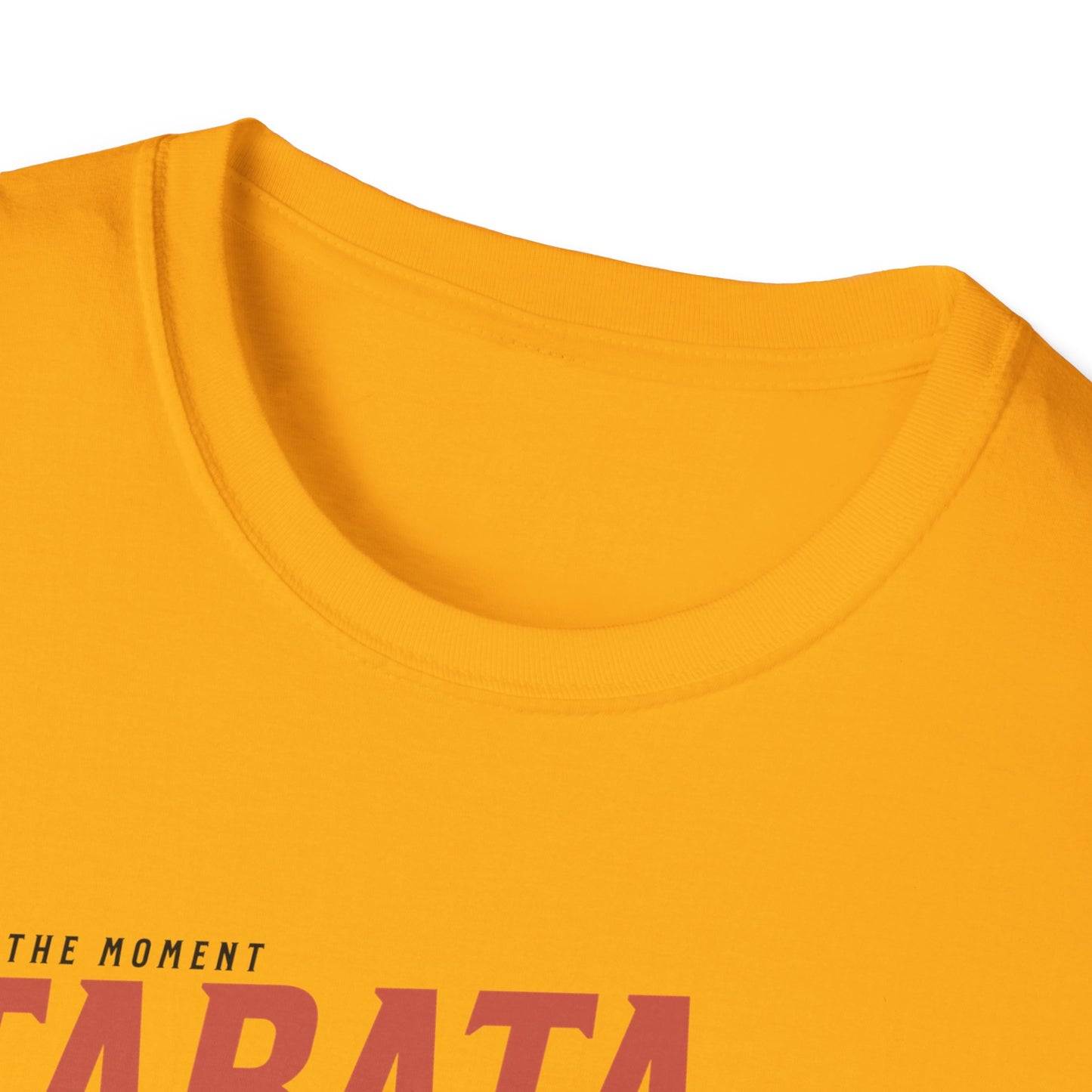 HIIT Tabata Tango Couples Fitness T-Shirt