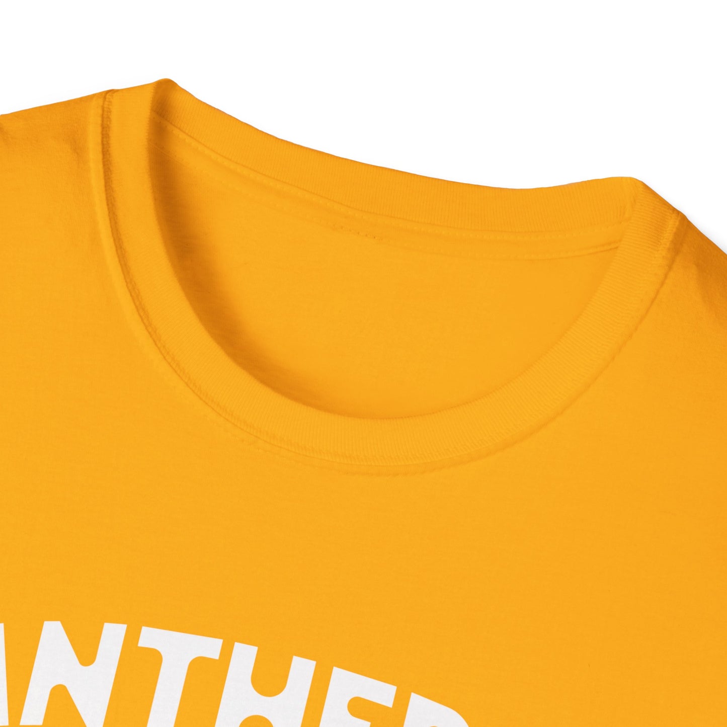 Pantheras Fitness T-Shirt - Gen Z Streetwear Unisex