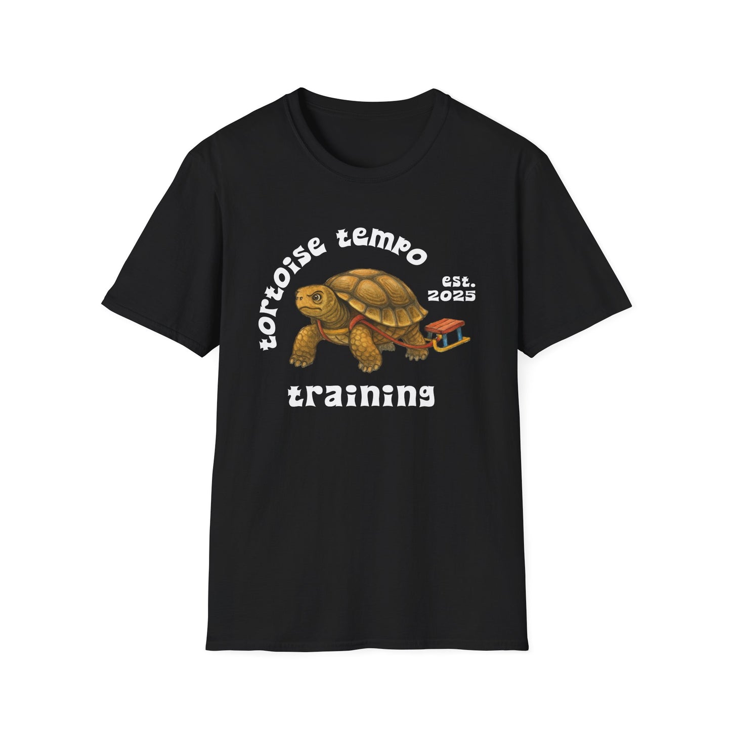 Senior's Mobility T-Shirt - Tortoise-Tempo Training