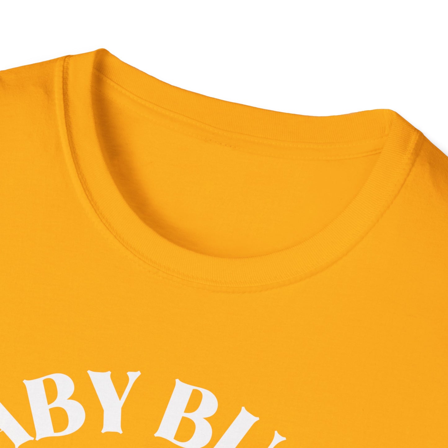 Fitness Gender Reveal Baby Bump Bench Unisex Softstyle T-Shirt
